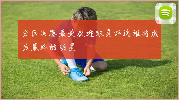 分区决赛最受欢迎球员评选谁将成为最终的明星