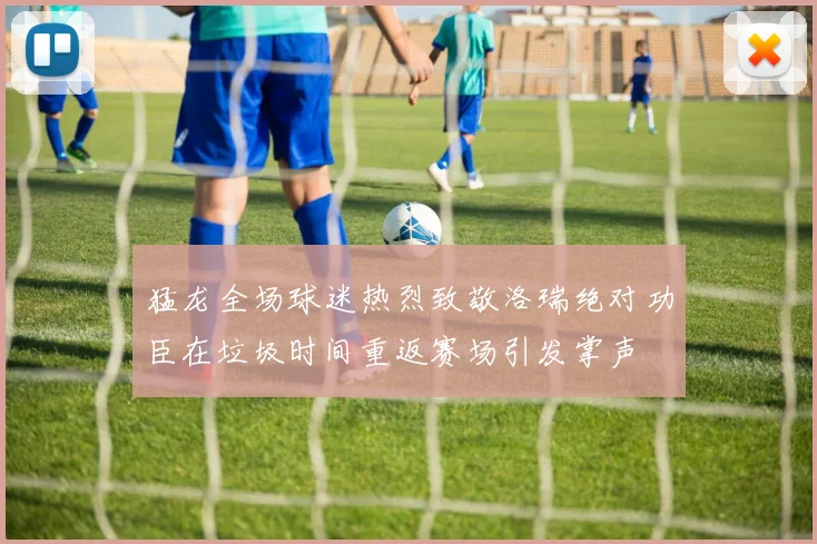 猛龙全场球迷热烈致敬洛瑞绝对功臣在垃圾时间重返赛场引发掌声
